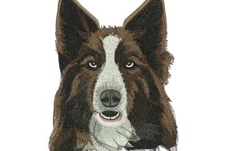 embroidery digitizing in 2 hours dst, pxf