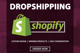 build a profitable shopify dropshipping  store dropshipping website
