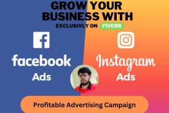setup effective facebook, instagram ads campaign for instant traffic and sales