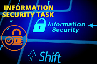 do security audit, vulnerability scan and information security assessment