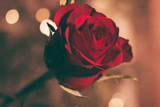 write romantic content for valentines day product gift sale