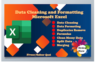 provide professional excel data cleaning formatting services