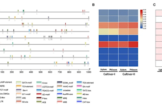 do bioinformatics tasks genome wide association studies