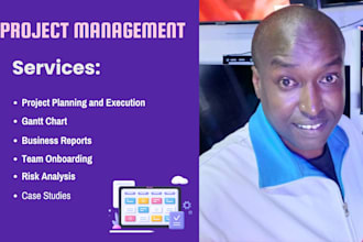 provide project management services