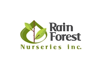 design traditional excellent better rain forest nurseries inc logo