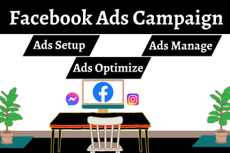 be your facebook ads campaign manager, run fb ads campaign