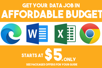 do fast and accurate data entry in excel and google sheets