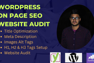 do complete on page SEO and website audit for google ranking