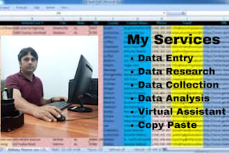 be your VA for data entry, data collection, data analysis