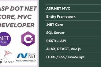 do full stack development, asp dot net, mvc web application