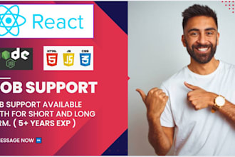 provide job support for reactjs javascript angular typescript