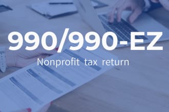 prepare and e file US nonprofit annual return