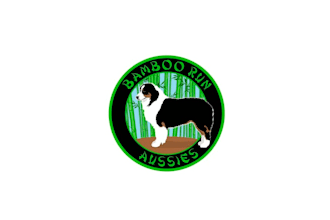 design beautiful amazing nice bamboo run dog logo with package