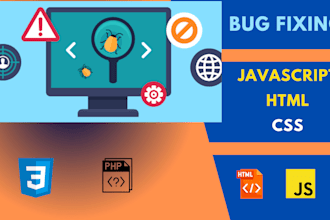 provide website development or bug hunting