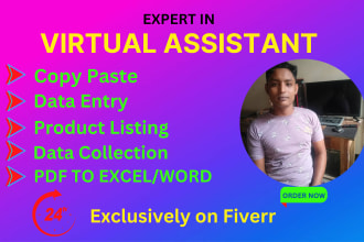 virtual assistant for data entry, copy paste, and product listing