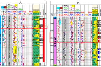 perform petrophysical and well log data evaluation