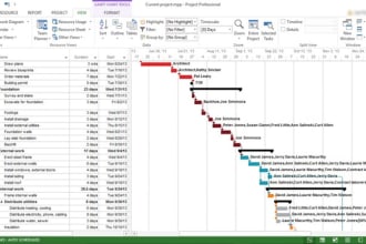 design gantt charts and timeline on ms project and excel