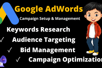 setup and manage google ads campaign
