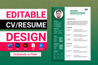 design professional graphic resumes CV template
