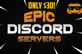 create a professional discord server set up