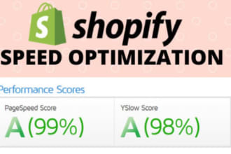 do shopify store optimization within 24 hours, shopify speed