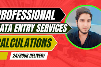 do excel data entry, data cleaning, , excel calculations
