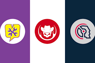 create a professional minimalist streamer logo design