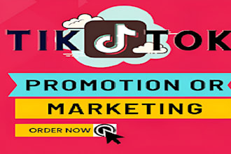 promote your tiktok profile organically for more engagement