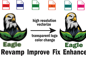 edit, retrace, enhance, refine or convert logo to vector precisely