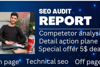 create a SEO audit report for your website