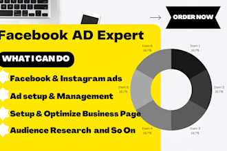 do facebook advertising,marketing,setup,manage fb, ig ads campaign,be ad expert