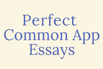 help write your common app, admission essays