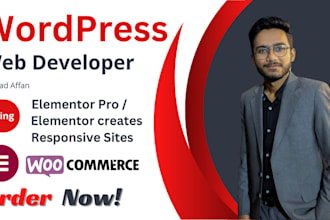 create responsive wordpress websites budget friendly