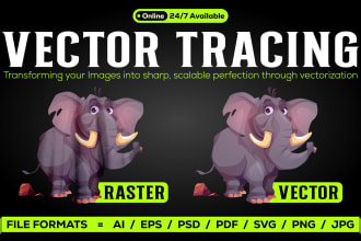 do expert vector tracing and convert raster to vector for you