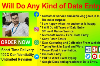 do data entry, excel, word, powerpoint, converting any file