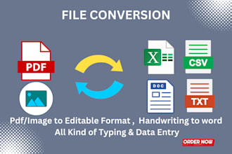 converted pdf to word or excel, handwriting to word, image to word