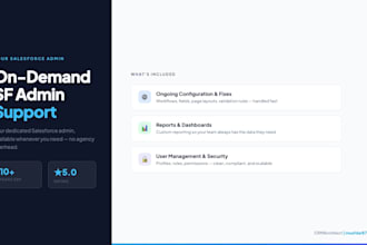 be your dedicated salesforce admin and provide ongoing support