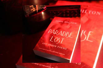 video beta read your book and any style novel is fine