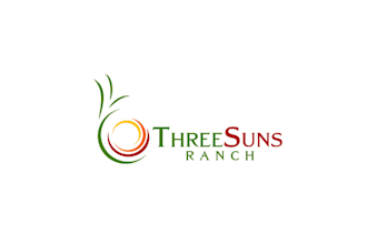 do best quality excellent super three suns ranch logo branding package