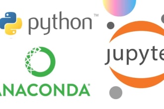 provide expert data preprocessing and analysis in python