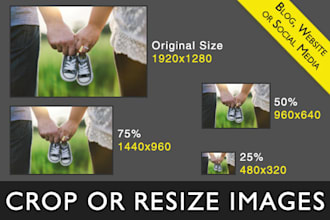 crop or resize images for your blog, website or social media