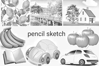 create pencils ink sketch food, drink and botanical illustration