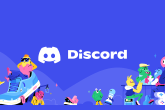 adaptation, configuration and promotion of the discord server
