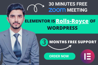 design,customize or revamp elementor business wordpress website as a pro expert