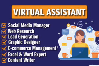 be web research social media manager data entry, virtual assistant