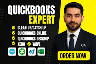 do quickbooks cleanup, bank reconciliation and quickbooks online bookkeeping
