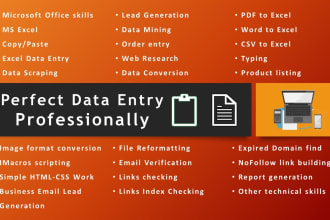 do perfect data entry, copy paste, excel work