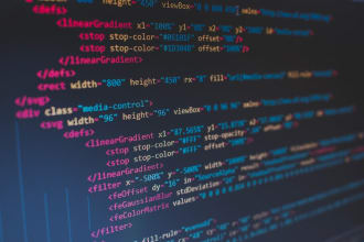 do all programming projects including java, cpp, web
