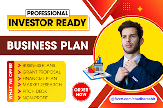 write an investor ready business plan and financial plan