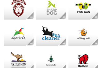 design Professional LOGO with unlimited Revision